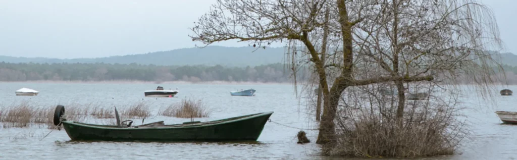 rastline, ki dobro prenašajo poplave